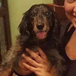 Meet your Posher, Karina